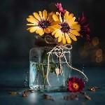 صادق مجاهدی