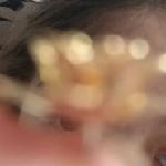 شهرو ابراهیمی مقدم ❤️