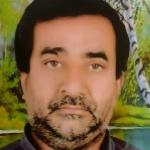 سیدحسین قدس‌نیا