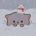 فاطمه نیتی 🌈