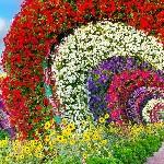 💜✨ محدثه و کوثر غلامپور