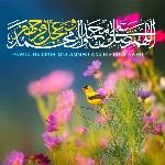 نازنین زهرا امیری