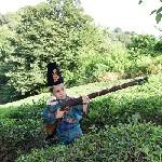 یاسین عباسی