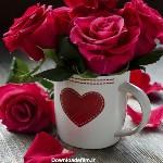 مهیا فرخاری