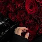 🤍 Hadise Timorese🤍