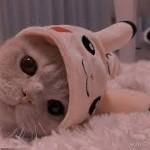 ‌ثنا وثوقی علیزاده