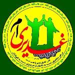 علی نصری