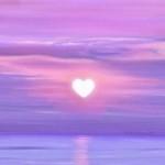 مطهره شریفی